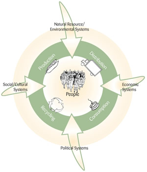 The Food System The Food System